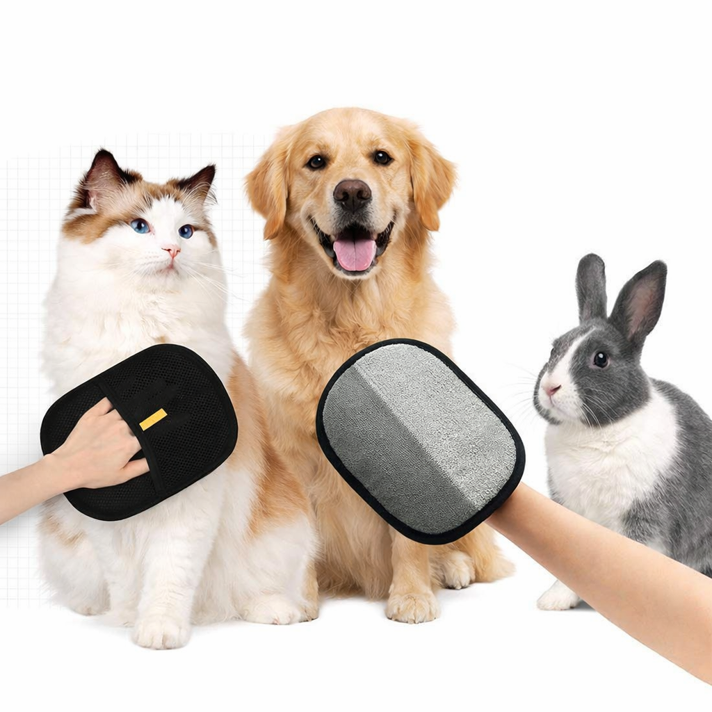 Φόρτωση βίντεο: Watch how our product works in action