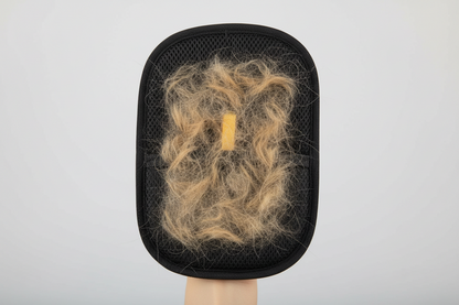 “Remove Pet Hair in Seconds — No More Fur on Your Couch, Clothes, or Carpets”